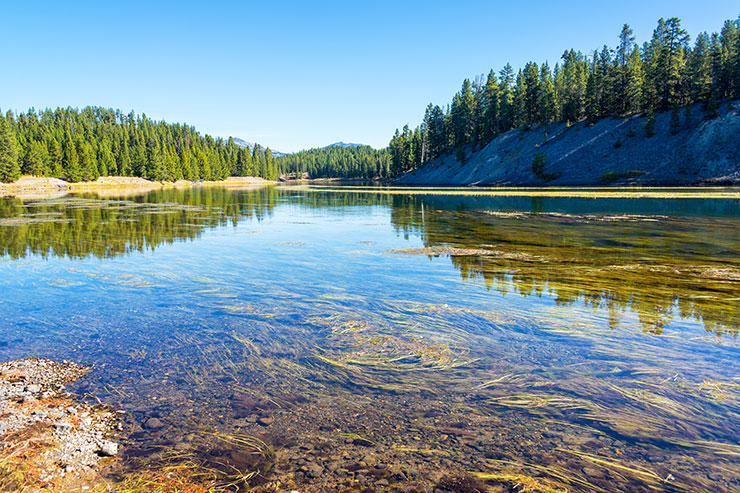 Yellowstone